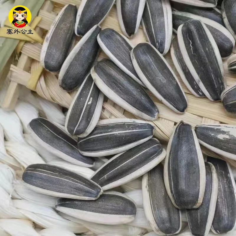 human type quality dried black and white striped sunflower seeds wholesale for sale