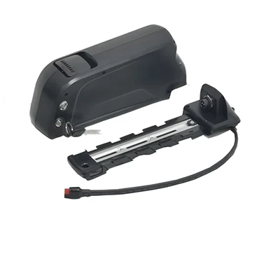 dolphin ebike battery.jpg