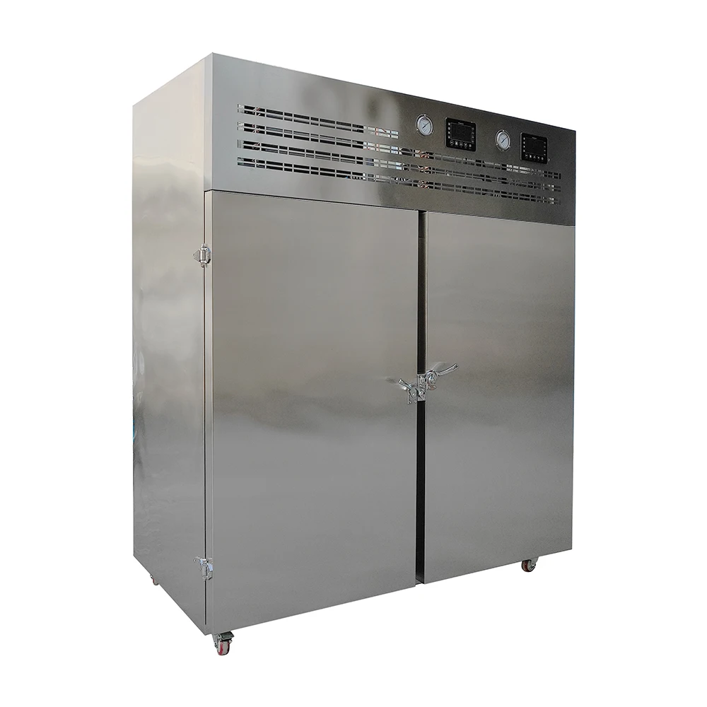 Two Doors Small Blast Chiller Freezer IQF Vegetable Quick Freezer Machine