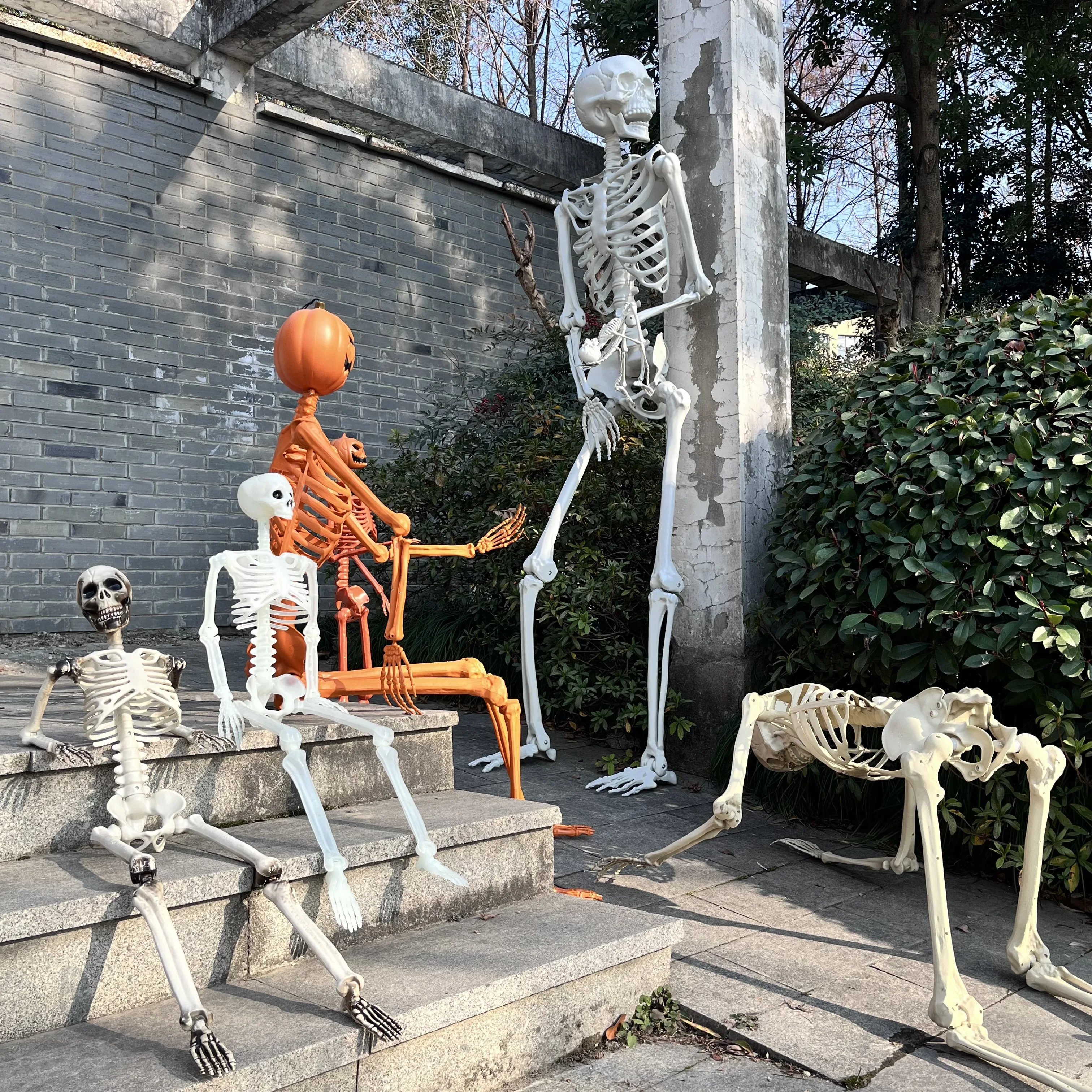 Halloween Prop Accessories Life Size posble Joints Bones Human Halloween Skeletons For Holidays Decoration