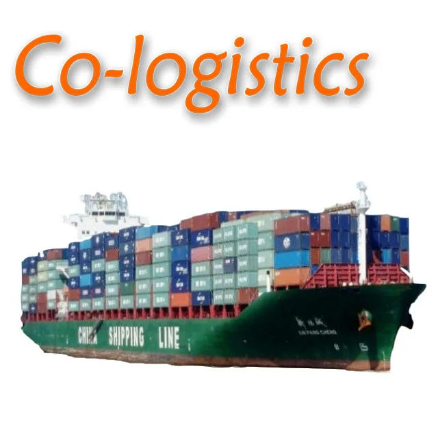 DDP freight forwarder International sea shipping agent door to door from China to USA Greeley