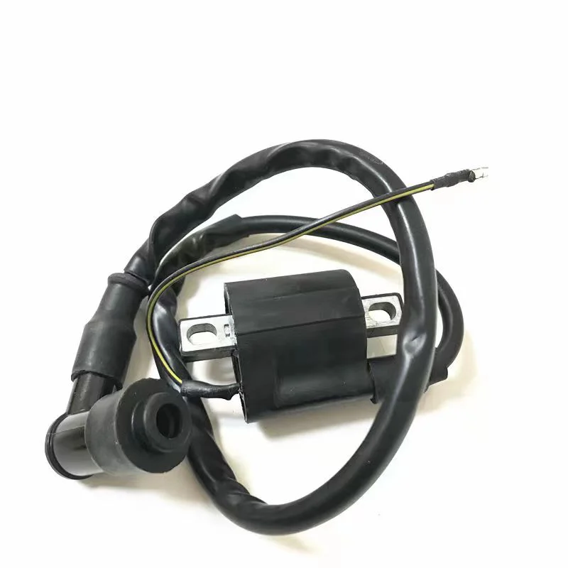 Supply motorcycle tricycle JH70/90 high-voltage package