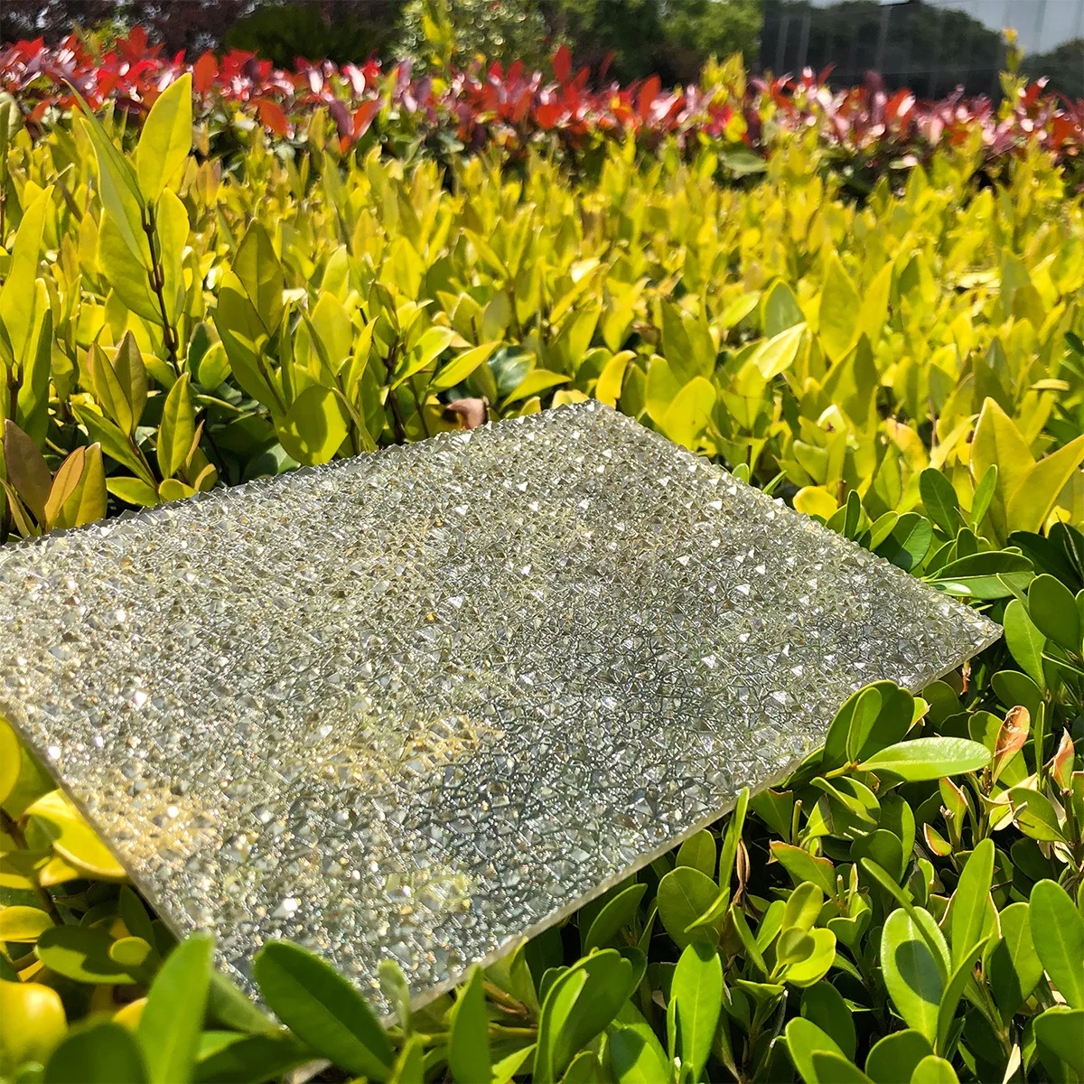 China Lexan 1mm Clear Transparent PC Embossed Polycarbonate Solid Policarbonato Sheet Roll