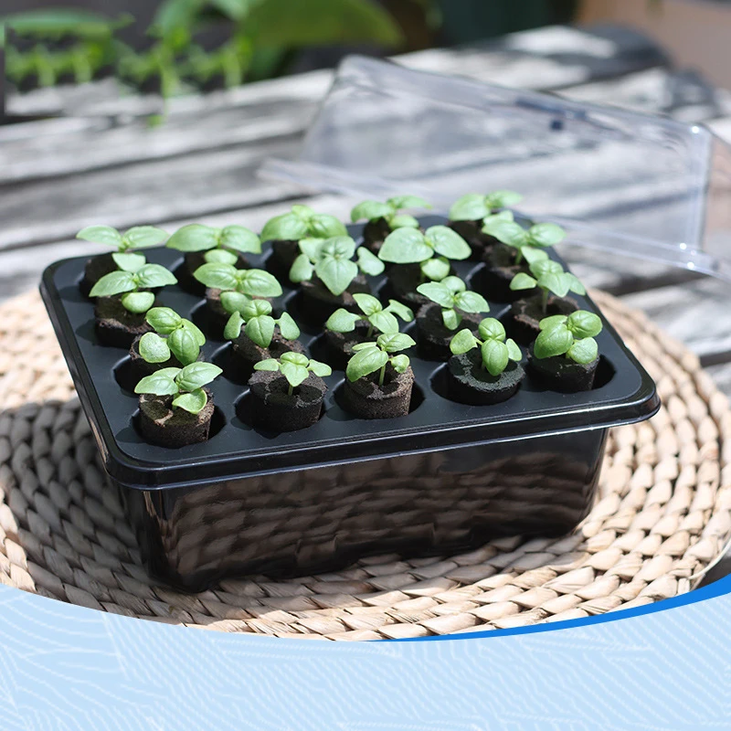 Nursery Seed Trays Seedling Starter Tray Humidity Adjustable Plant Starter Germination Kit