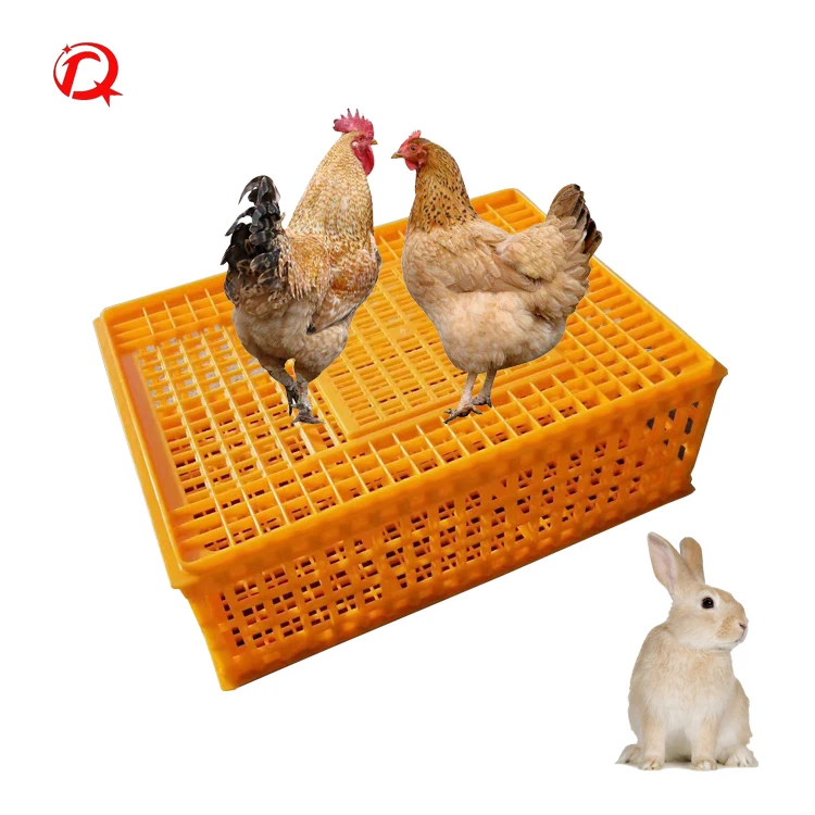 live chicken transport cage chick turnover box poultry plastic transport crate for duck chicken pigeon