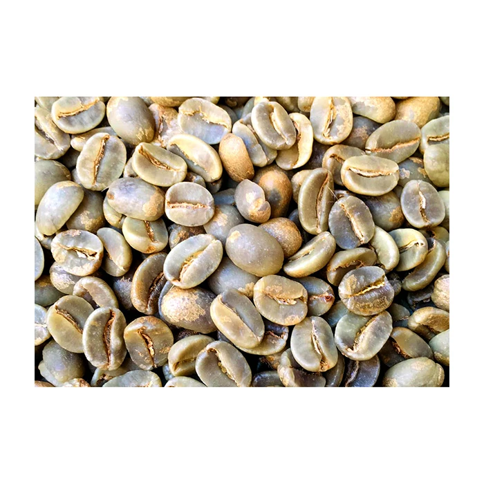 
Cheap Price Unroasted High Quality Green Coffee Beans Raw Bulk 