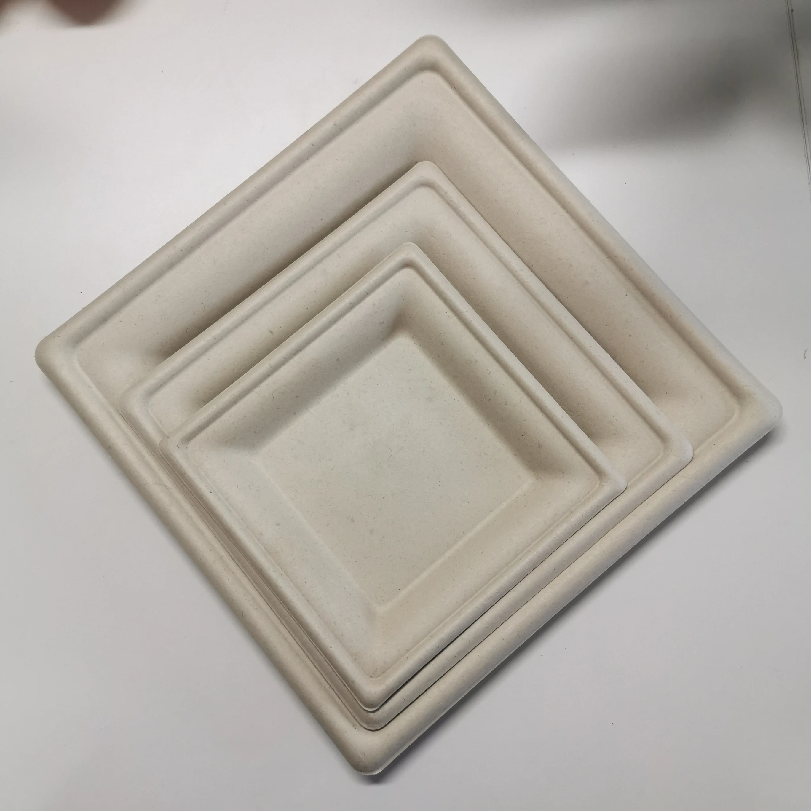 Paper Plates Biodegradable Plate Set Cheap Disposable  Plates Bulk Party Bagasse Food Container