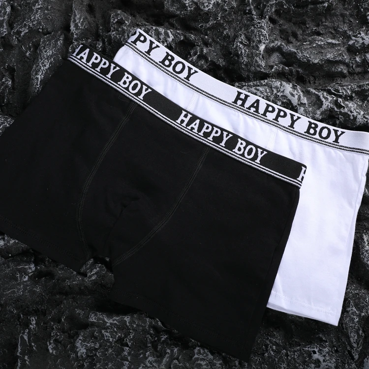  Wholesale Custom High Quality Breathable Pure Cotton Men Short Boxer Brief