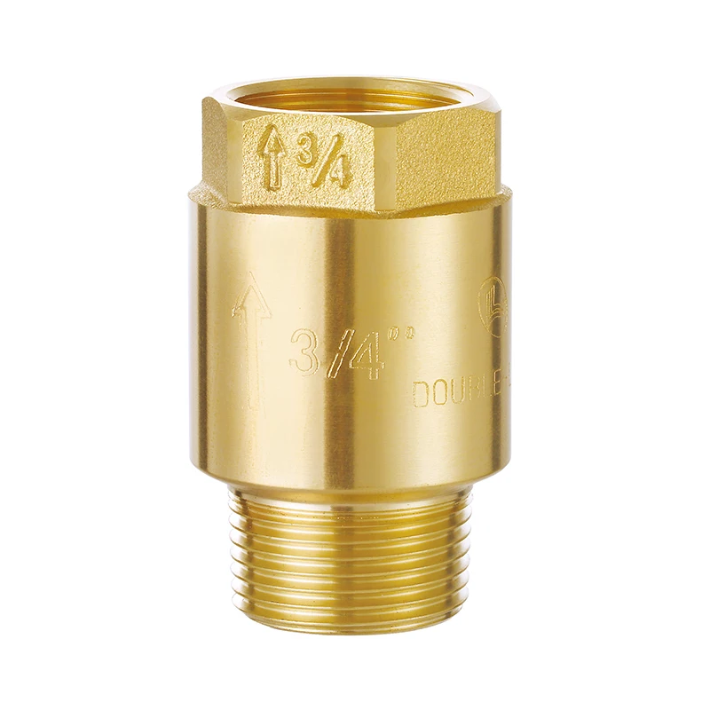 DIN259 резьба 2 дюйма внутренний X латунный пружинный обратный клапан