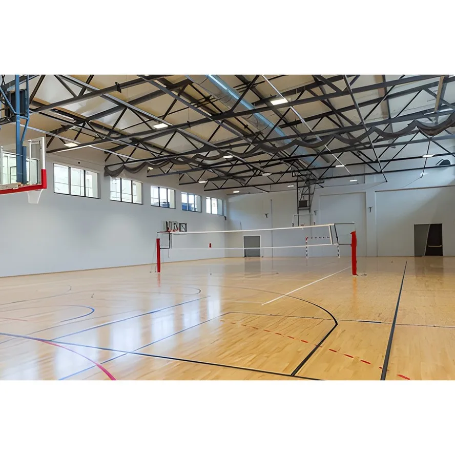 Steel Frame Building Prefabricated Gymnasiums Indoor Basketball Court Steel Structure Sports Hall