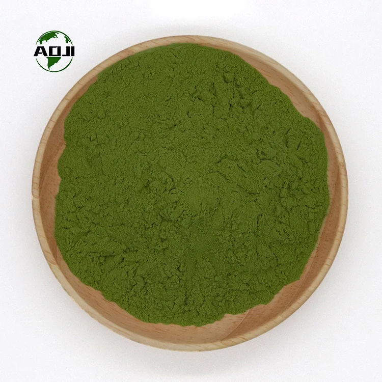 moringa seed Leaf extract Powder