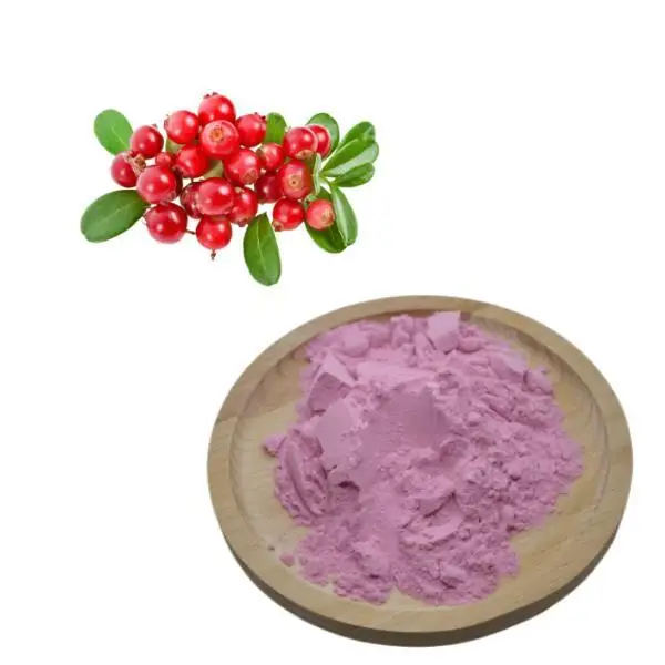 Spray Dried Powder Cranberry Juice Powder Anthocyan Powder
