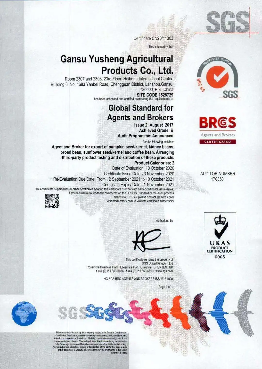 Wholesale Chinese 2021 crop origin in Yunnan Large white kidney beans