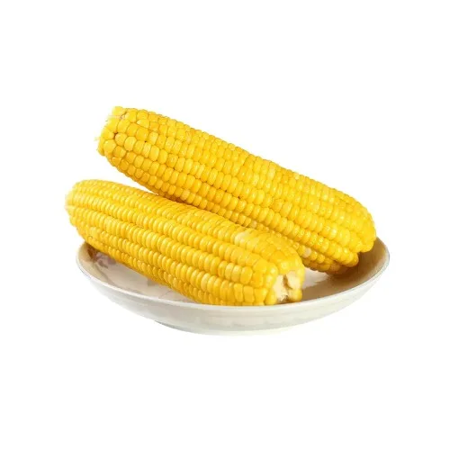 fresh yellow WAXY Corn yellow Corn with vacuum package