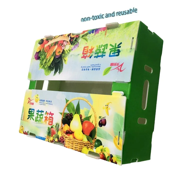 polypropylene plastic box organic vegetable foldable honeycomb pp grape packaging banana plain asparagus corrugated for fruit