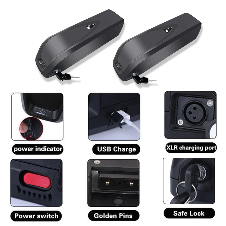 36v 48v 52v 20ah Lithium E Bike Battery with Bms Protection Plate
