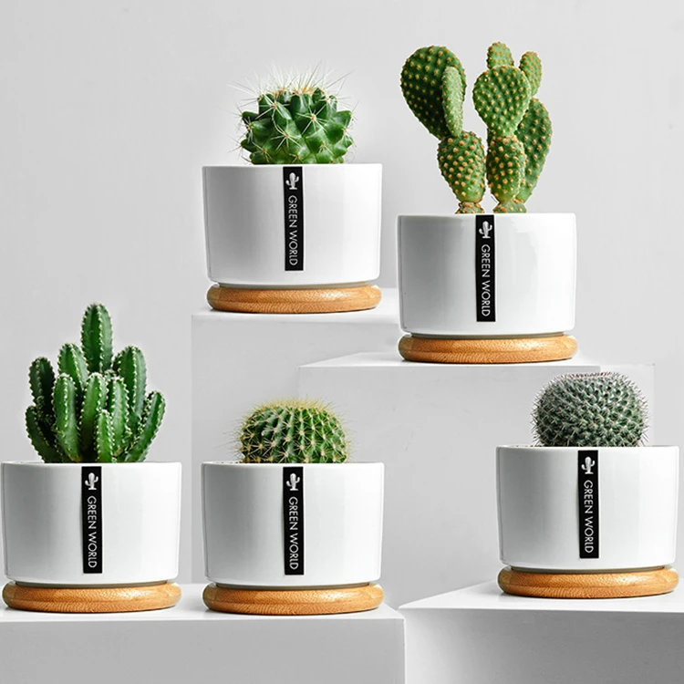 Modern home decor indoor white succulent plant pot wholesale cheap small ceramic flower pots