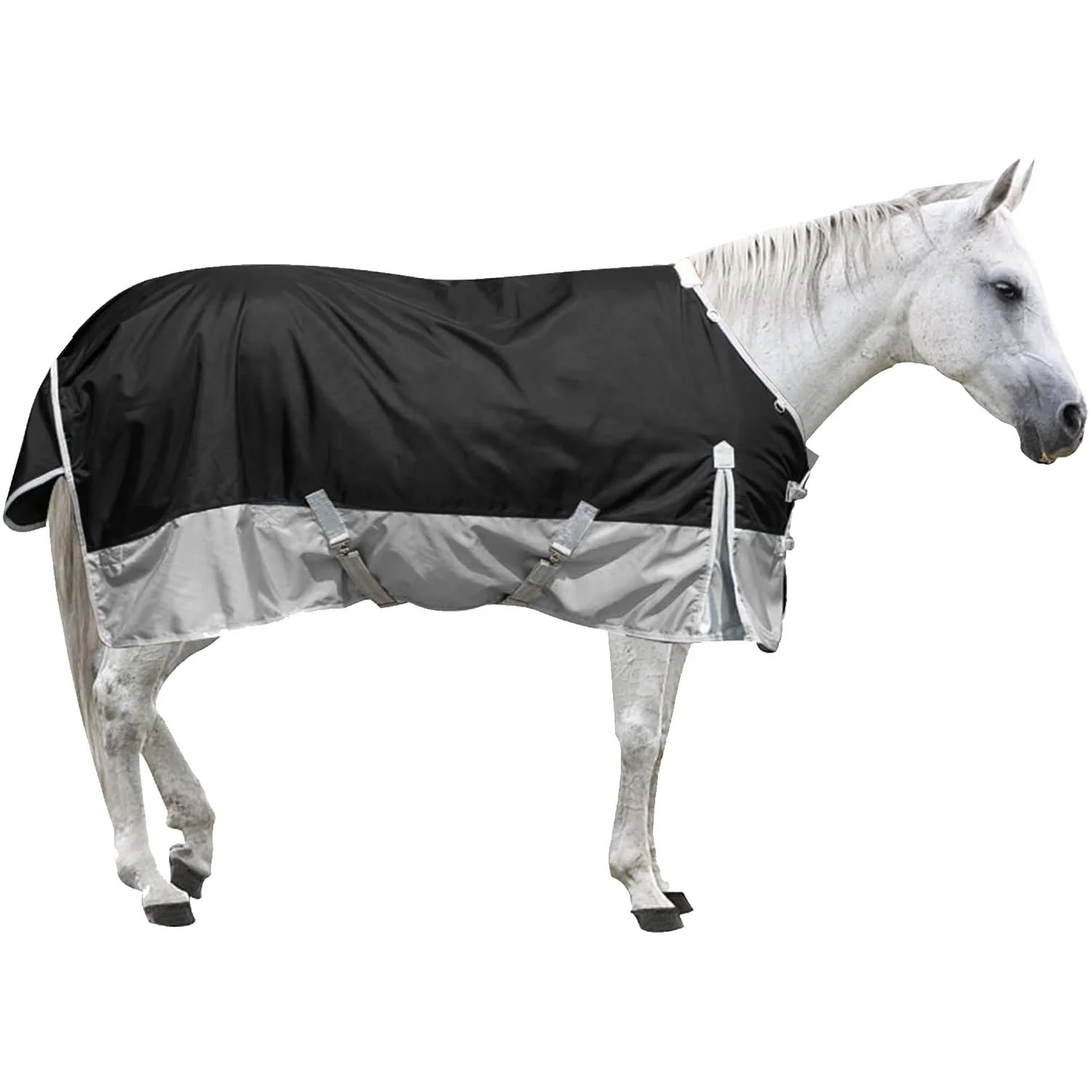 Horse Waterproof Sheet.jpg
