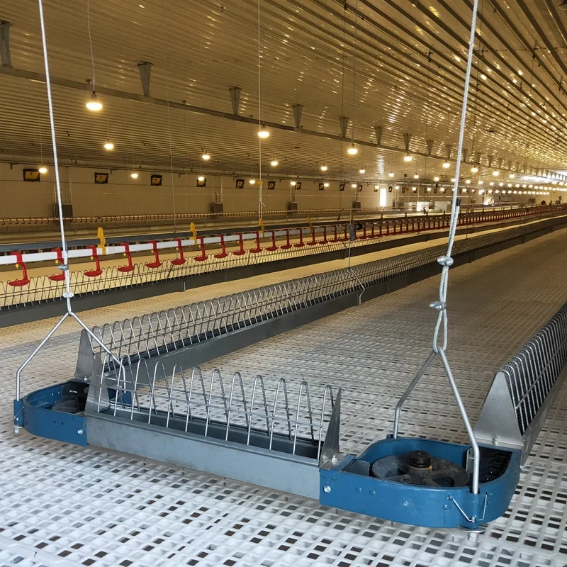 Automatic Breeding Female Chicken Feeder poultry Farming System Chain Feeding Line Hens Broiler Breeder House Equipment