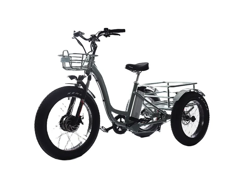 48V 750w motor electric tricycle 3 wheel powerful electric scooter wolf warrior11 electric three-wheeled motorcycle