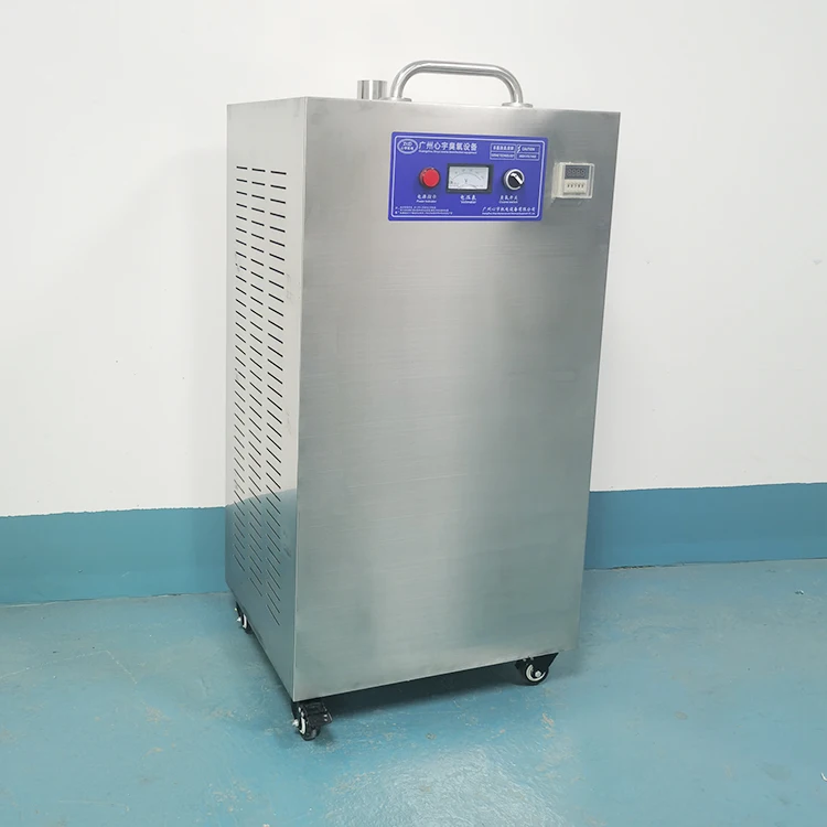 20G output stainless steel portable ozone air sterilizer factory workshop use air purifier Air Source Ozone Generator