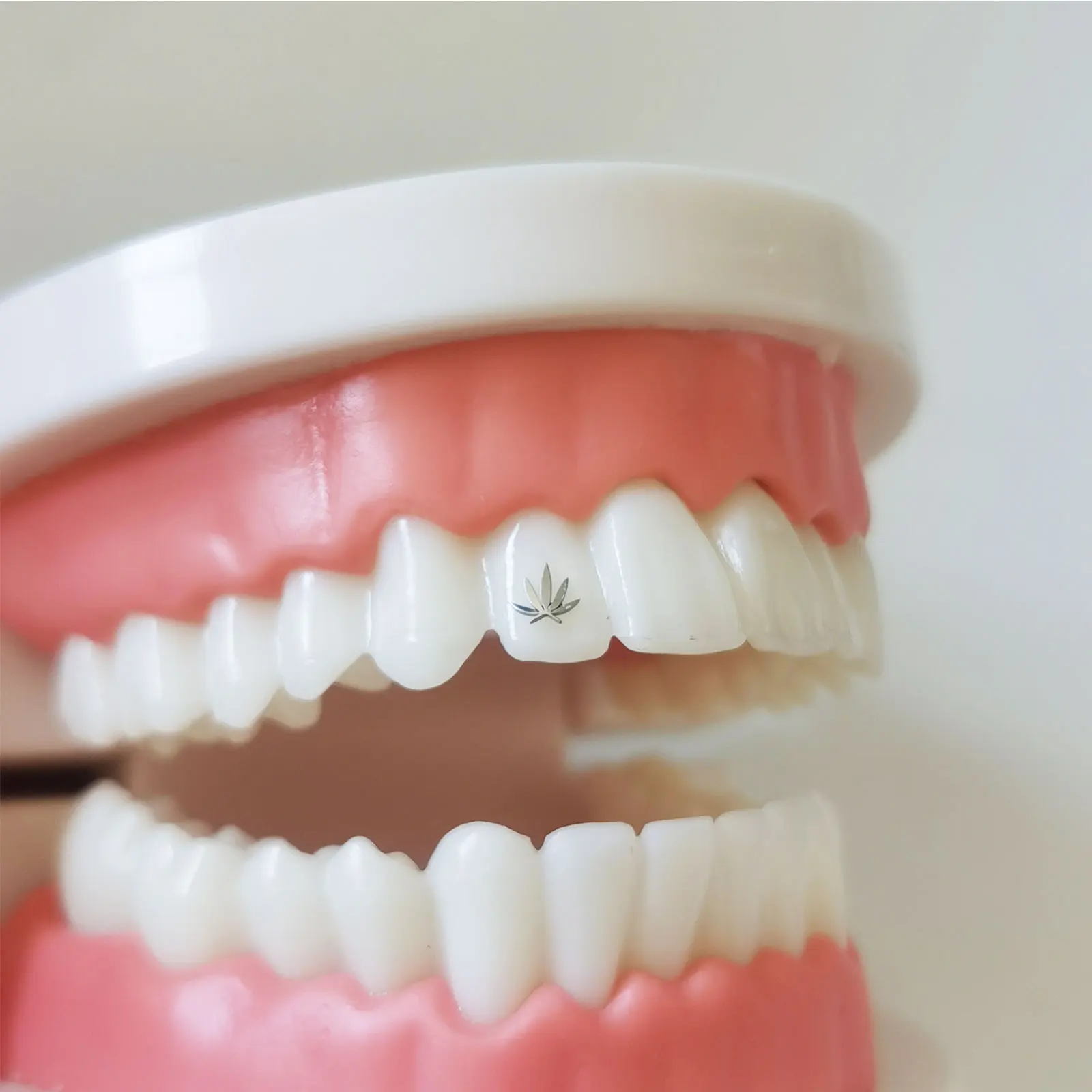 Hot selling 4 PCs  Medical pure titanium Tooth gems five leaf slover  teeth jewelry Best selling Teeth gems