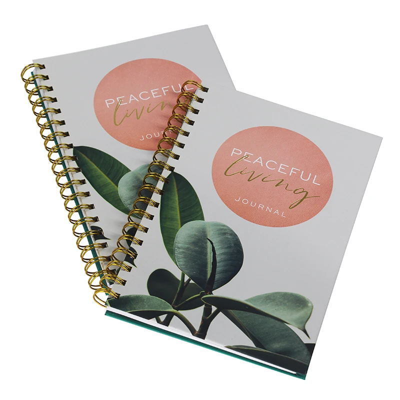 Китайский поставщик, спиральный блокнот, печать на заказ, ваш дизайн, журнал, размер А5, линейные страницы, записные книжки для переплета