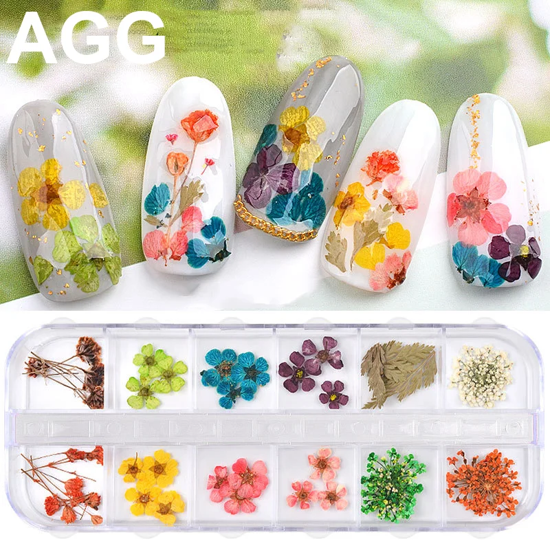 AGG High Quality 12 Color Real Bulk Dried Dry mini chrysanthemum flower for nail decoration