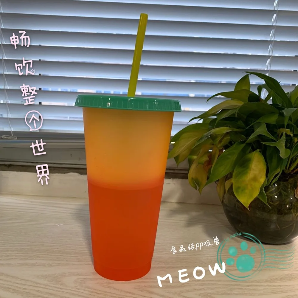 
HDT custom new 2020 temperature gradient PP plastic cold water bottle mug tumbler plastic tumbler color changing cups straw 