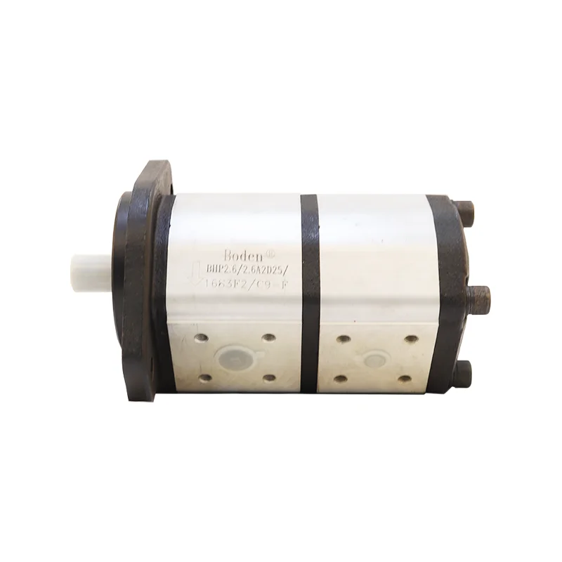 Custom Low Noise Rotary Gear Pump Hydraulic Pump