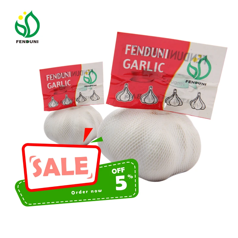 Shandong Chinese Fresh Garlic Supplier  for Sales 200g/250g/500g 1kg Per bag