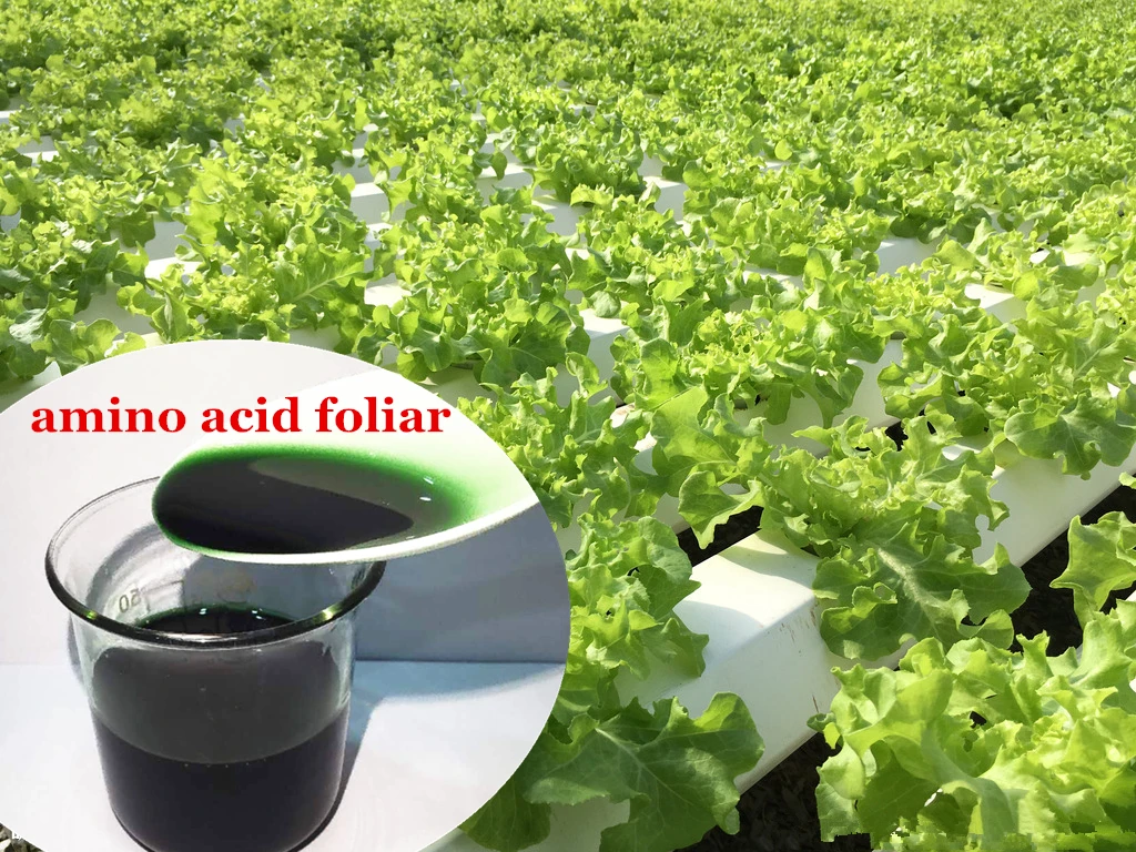 Биостимуляторы для роста растений на основе аминокислоты кальция хлорированные органические аминоки банан фолиевое удобрение