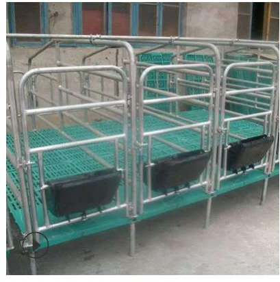 hot dip galvanized Pig fattening crate poultry equipment