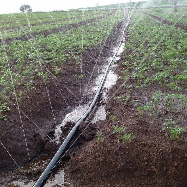 Agricultural Irrigation Layflat Micro Spray Hose Uv-resistant Micro Spray Tube Irrigation System Rain Hose