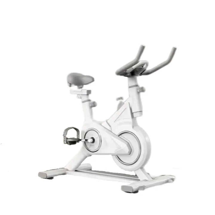 Stationary Sport Static Bicycle Silent Ergonomic Exercise 100kg Spinning Bike For Indoor Gym