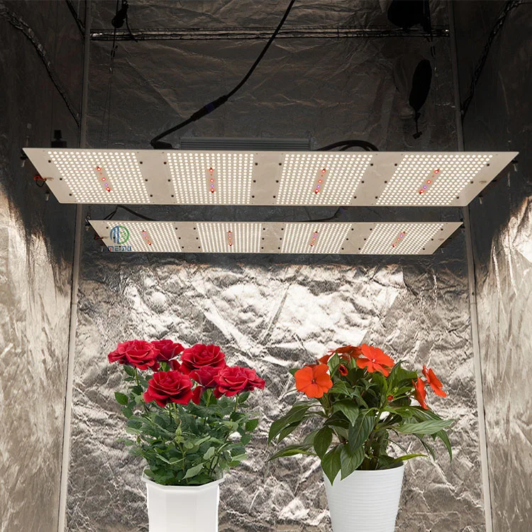 Meijiu X Light, Customized 600W Samsung Lm301B 3000K 4000K Pcb Led Grow Lights For Indoor Plants/