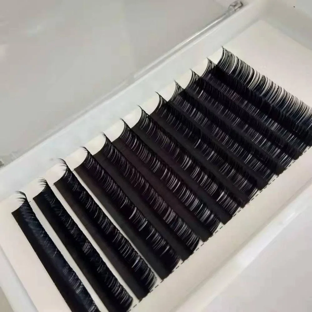 Factory Directly Provide eyelash tray suppliers individual natural ellipse soft volume eyelash extensions