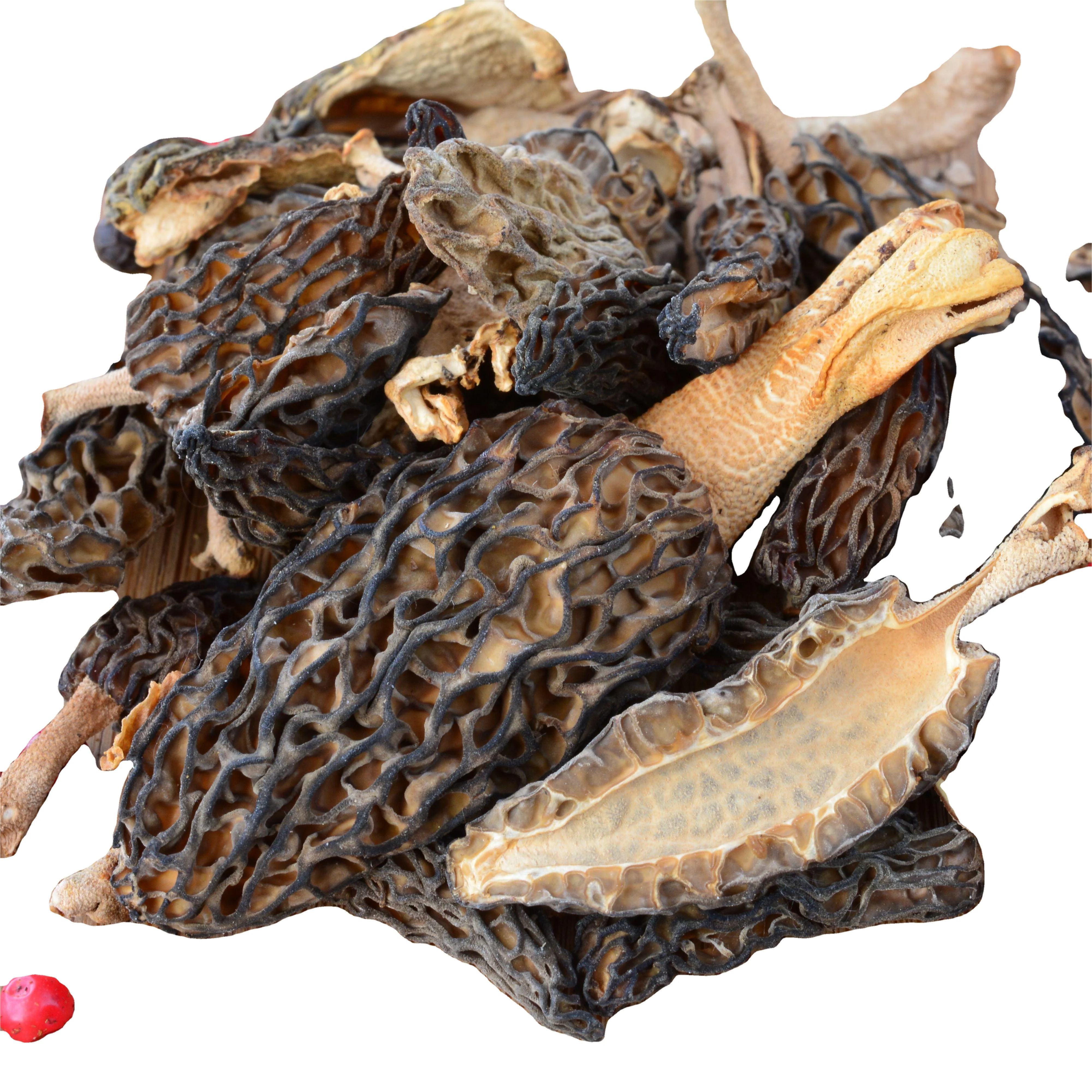 mushroom supplies dried black morel mushroom for sale