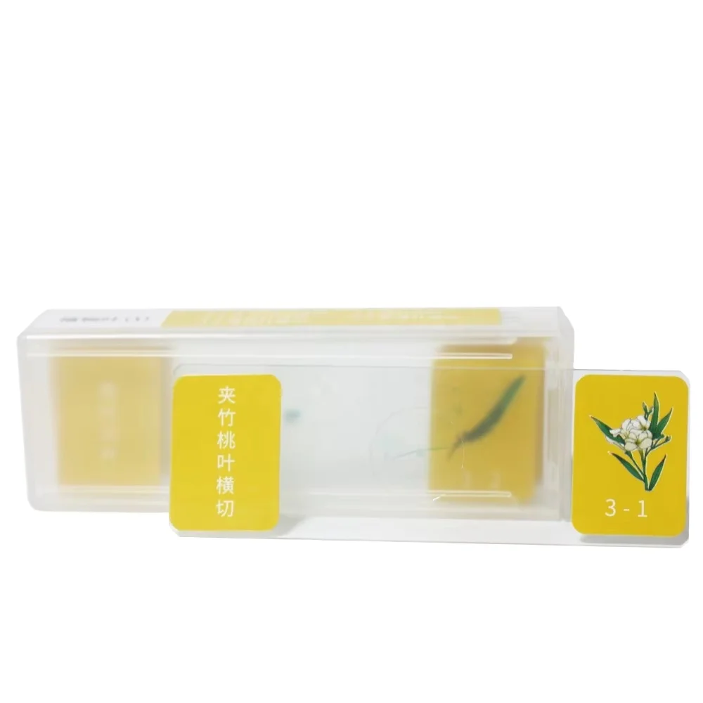 Prepared Slides Teaching Microbiology  Laboratory Equipment 10 Items Of Plant Leaf Microscope  Glass Slides