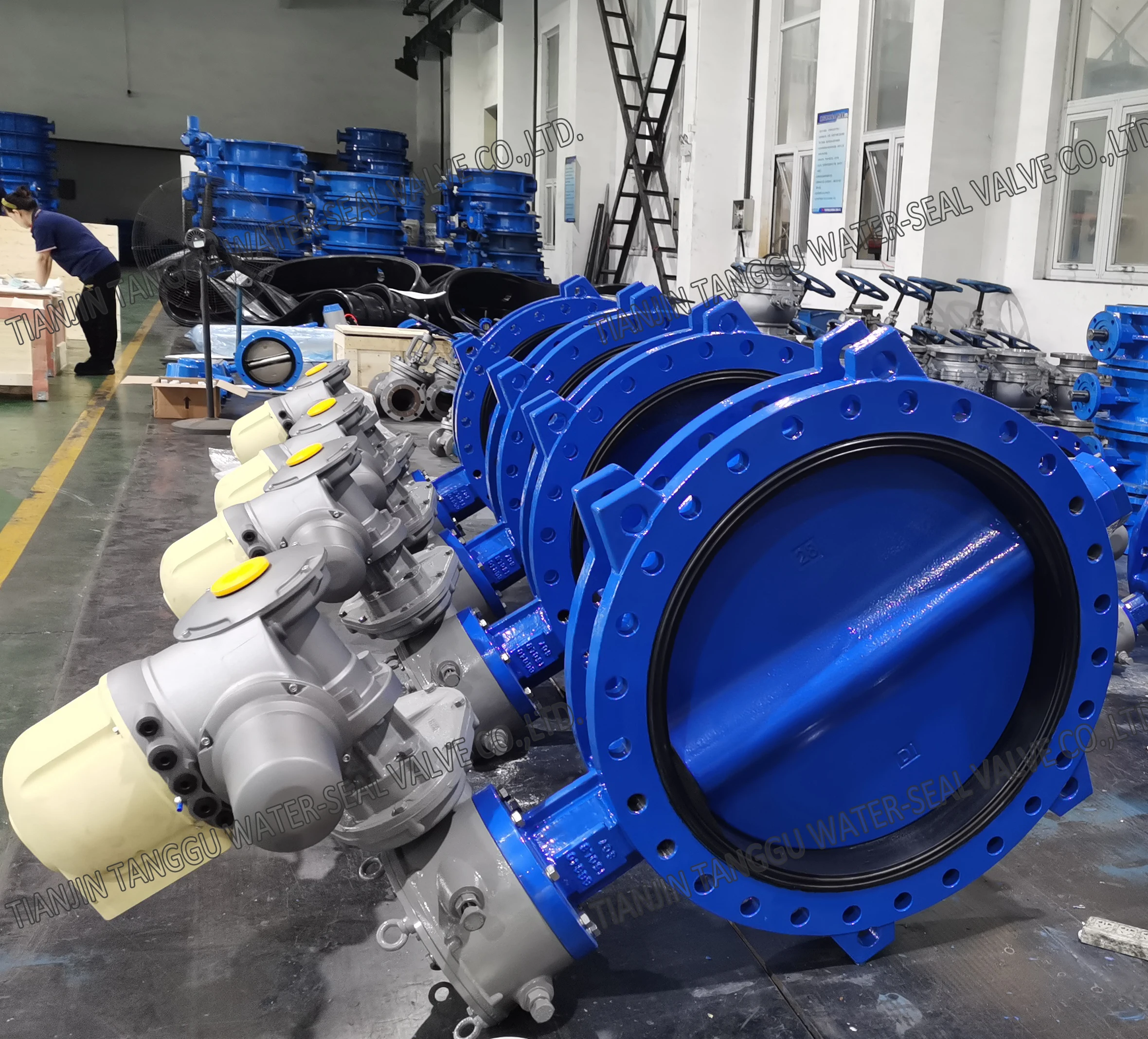 DN500  DN700 Concentric Double Flange Butterfly Valve with IP68 Electric Actuator for Drinking Water