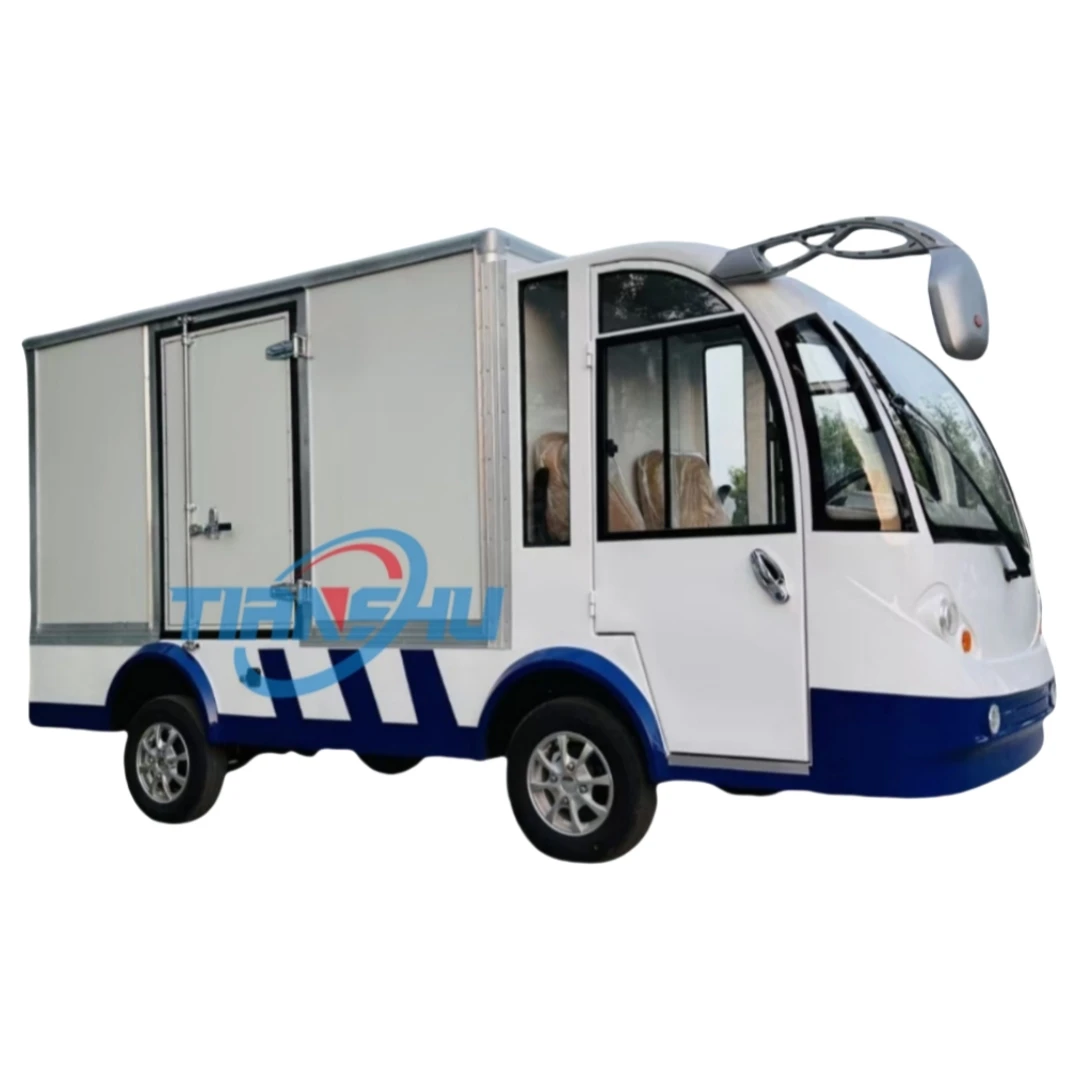 Hot selling  Tourist Bus 2 Seater Electric Sightseeing  Car With A Big Box Can Hold Many Things