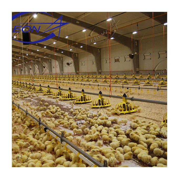 Automatic Poultry Feeder Broiler Chicken Automatic Drinker Pan Feeding Line Breeding Equipment for Broiler And Breeder