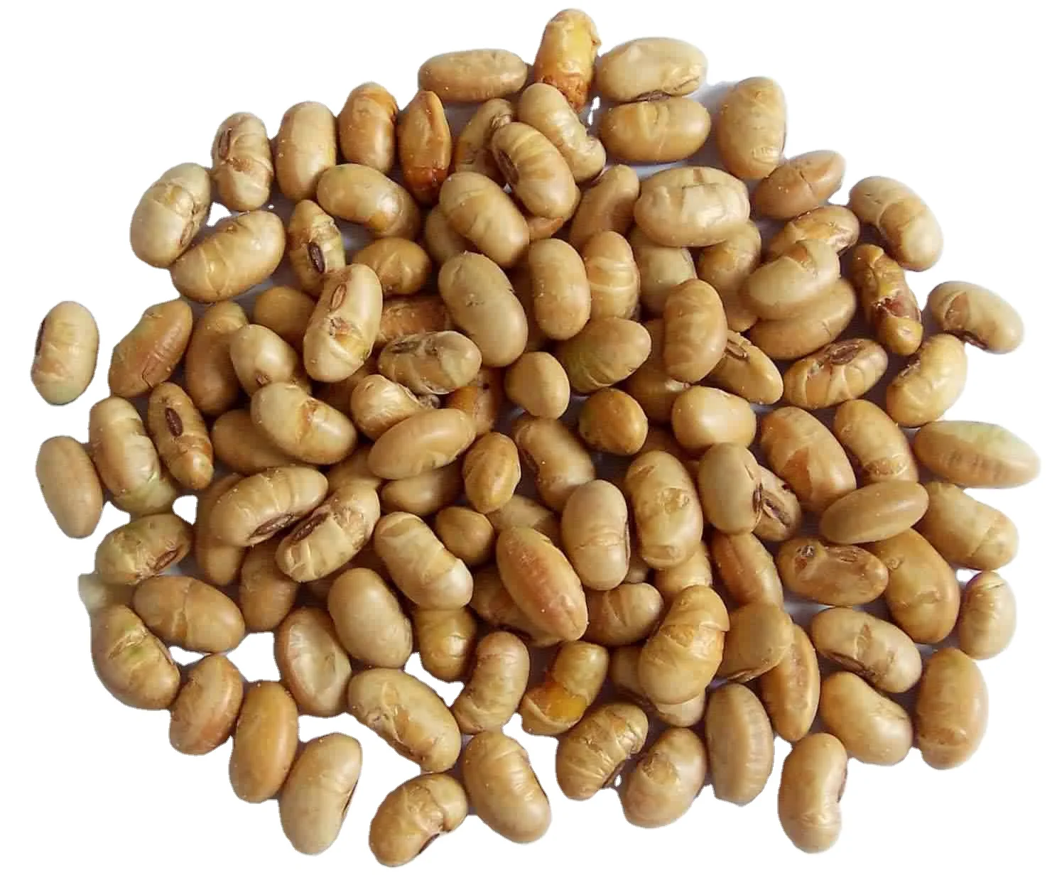 Superior Quality Sea Salt Roasted Soya Bean Snacks Healthy Nutritious