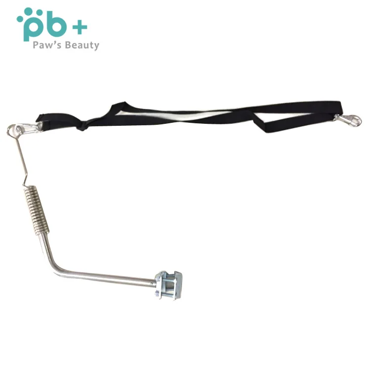 custom retractable smart pet bicycle exerciser leash