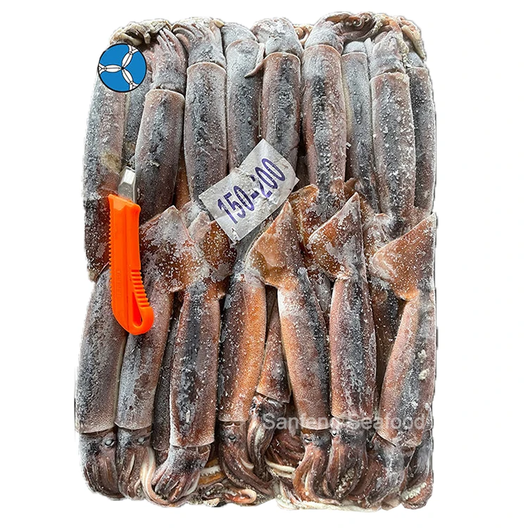 Высокое качество оптовая цена морепродукты большой размер кальмар Аргентина замороженные 800/900 Illex