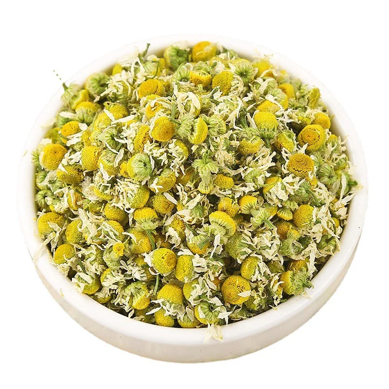 Dried Pure Yang Gan Ju High Quality Bulk Flowers Dried Chamomile Camomile Flower Camomile Anthemis Nobilis Flower