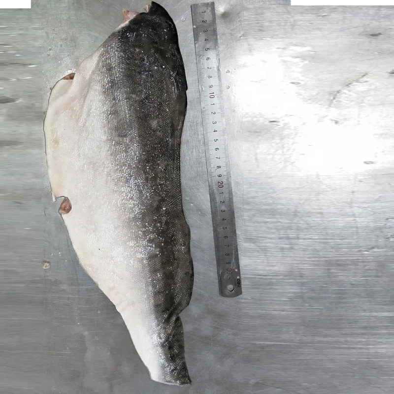 Good Quality Salmon Skin