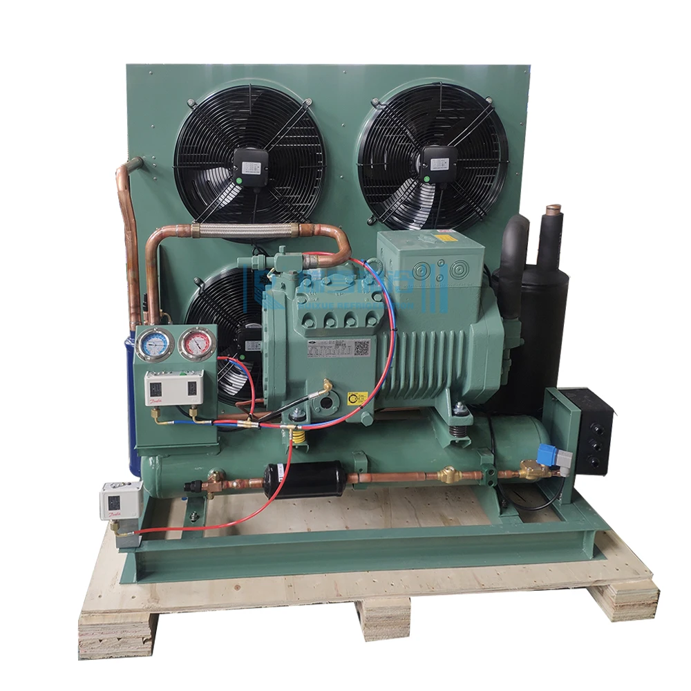 Professional Capacity  semi hermetic open type condensing unit for cold room