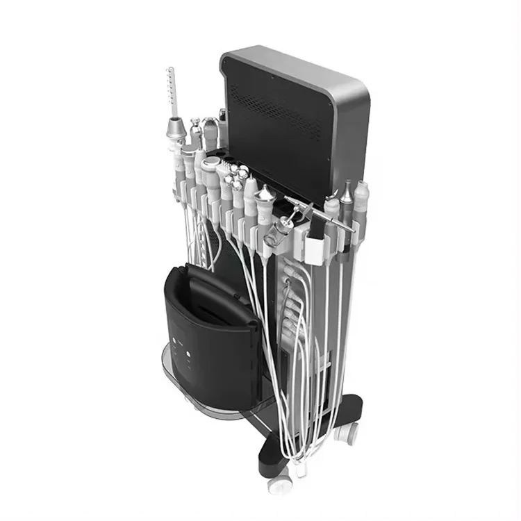 17 In 1 Facial Machine 2024 Hydra Oxygen Equip Factory OEM Diamond Microdermabrasion Aqua Peel Hydro Skin Machine Manufacturer
