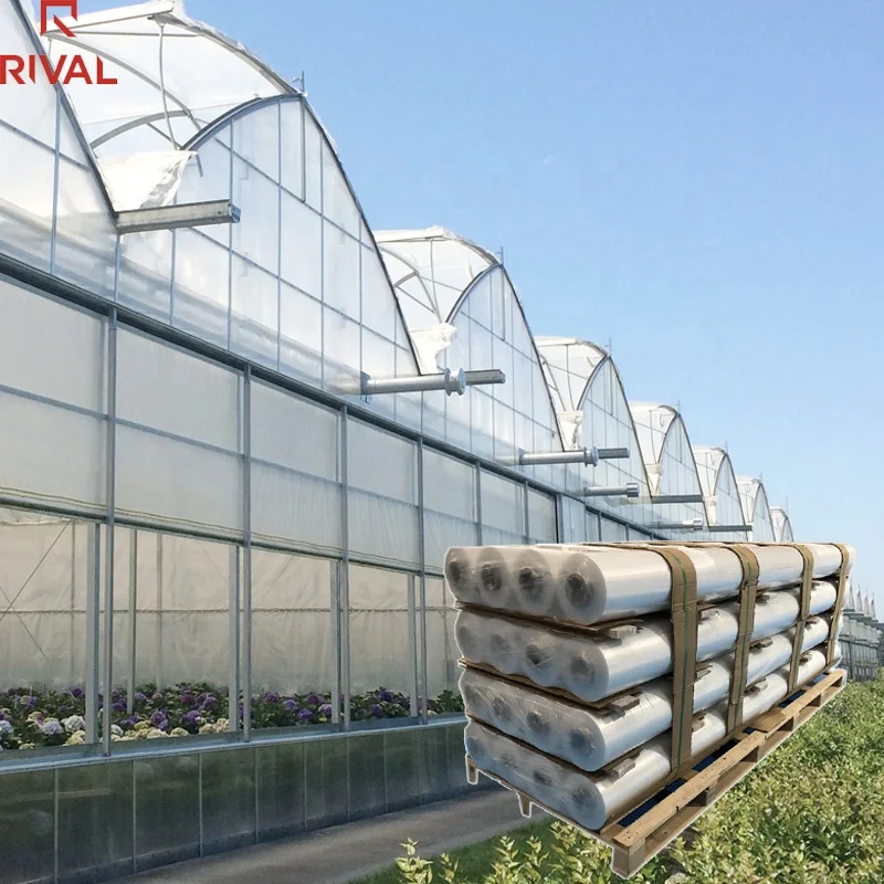 Low Price Greenhouse UV Plastic Sheet Film For Agriculture 200-250 Mic Green House Polyethylene Film Greenhouse